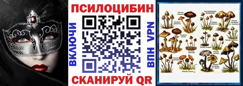 ОМГ ОМГ   как найти наркотики  Жиздра  Галлюциногенные грибы мухоморы 